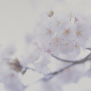 初尝人妻滑进去了莹莹视频
